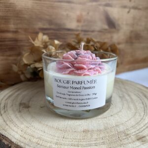 Bougie décorative parfumée MonoÏ passion
