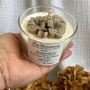 Bougie Pomme d'amour Elégante