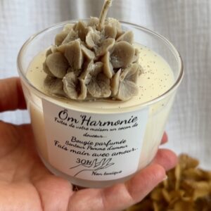 Bougie Pomme d'amour Romantique